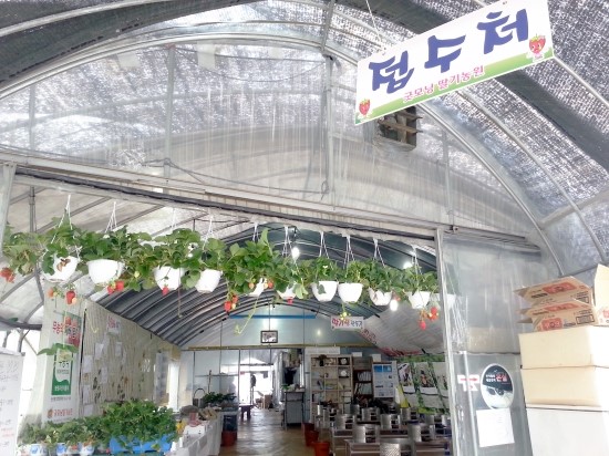 굿모닝농원 이미지
