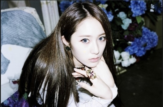 너는나의꽃 이미지