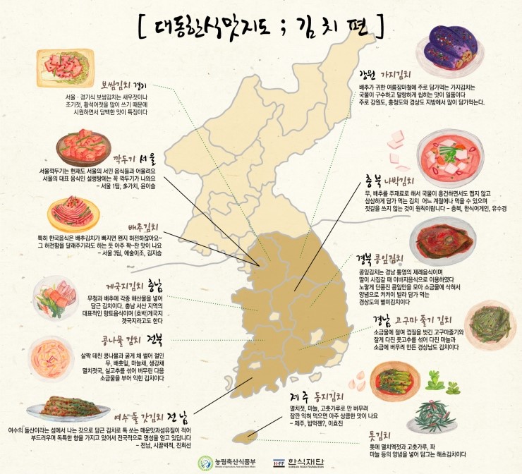 건강지도 이미지