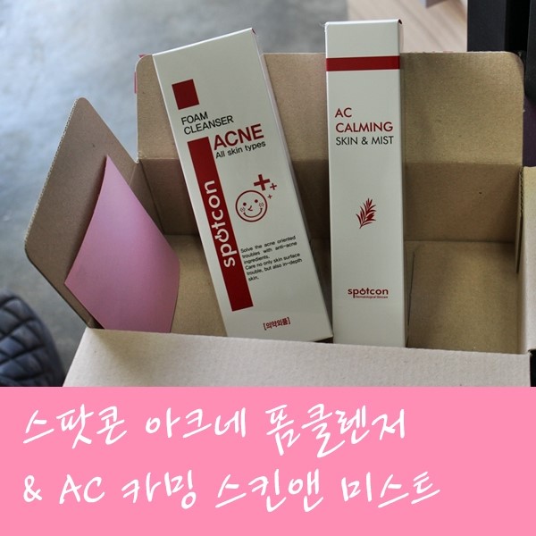 스팟콘 이미지