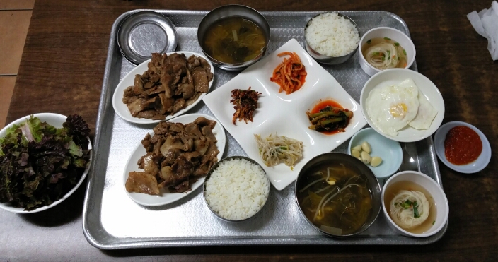 디노아 이미지