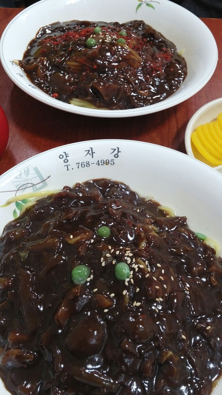양자강반점 이미지