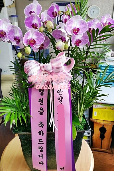 아침향기화원 이미지