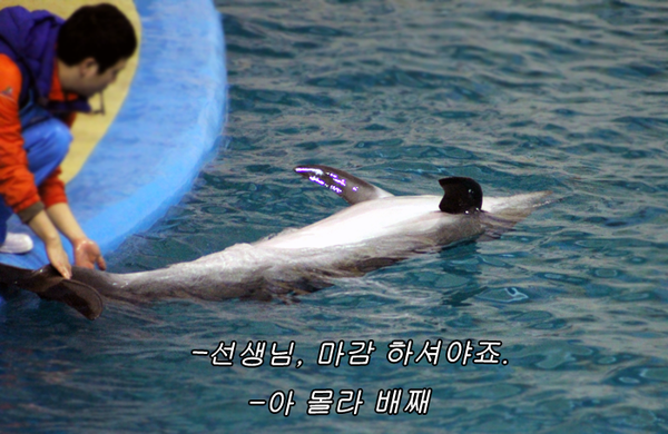 무교동유정낙지 이미지