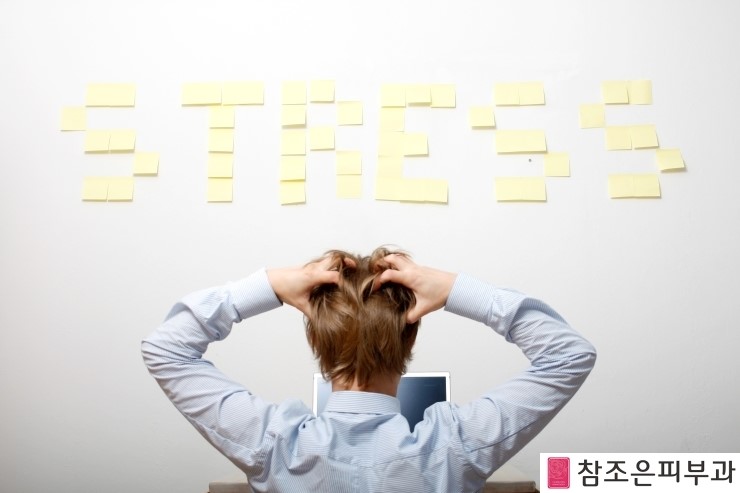 참조은피부과 이미지