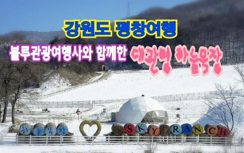 마루여행사 이미지