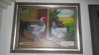 (주)체리부로 이미지