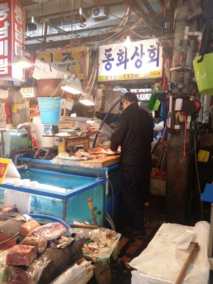 동화상회 이미지