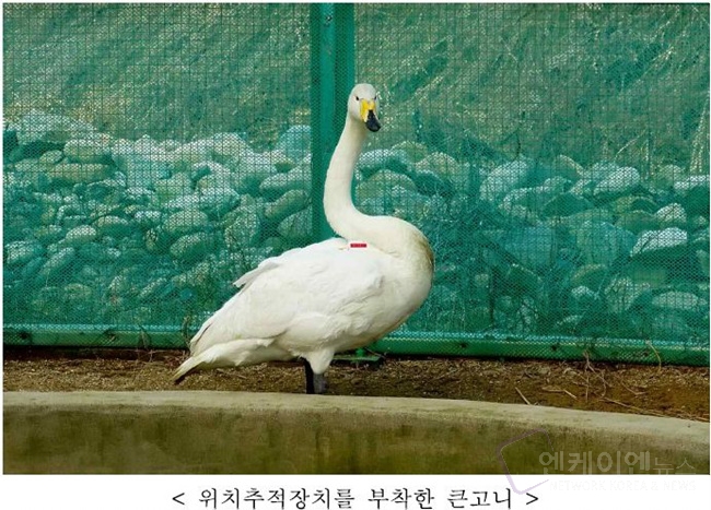 고니시스템 이미지