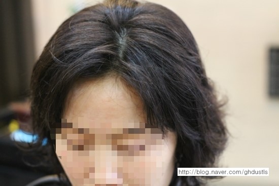 디자이너리아 이미지