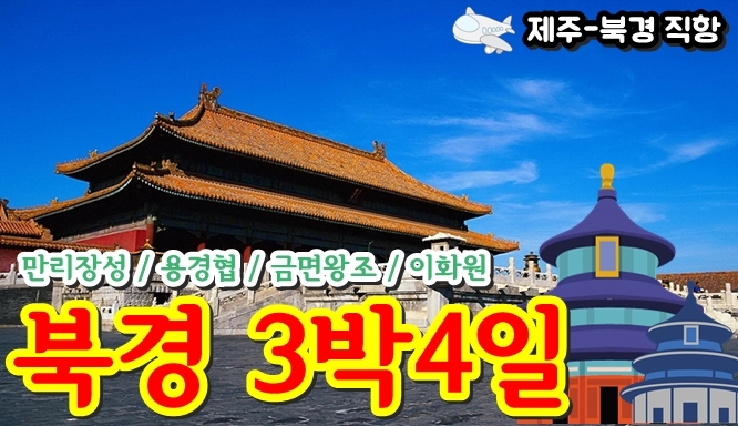 푸른항공여행사 이미지