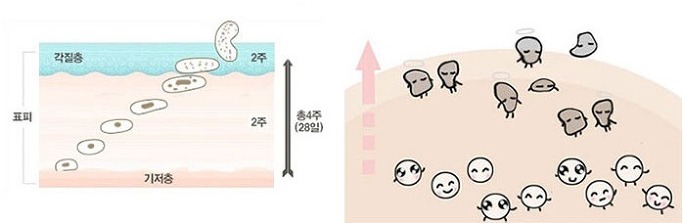 하늘체한의원 이미지