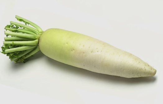 헤어닥터 이미지