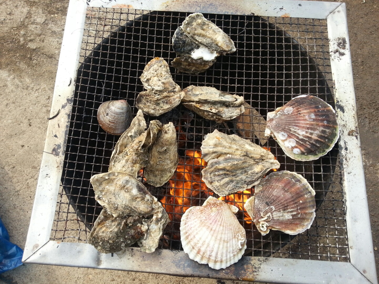 참나무조개구이 이미지