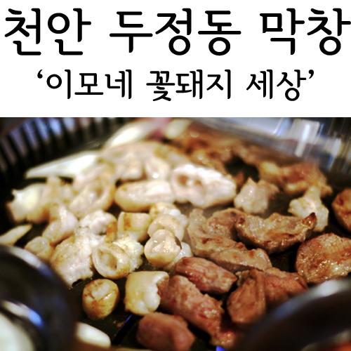 이모네꽃돼지 이미지