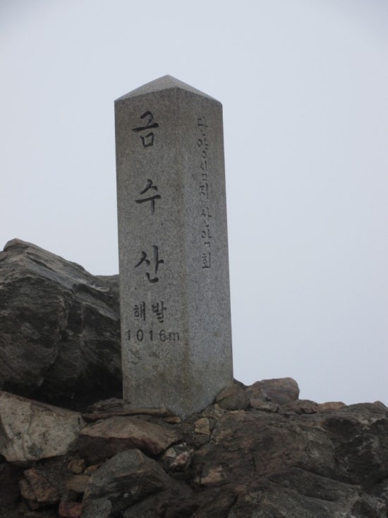 에이스 직업소개소 이미지