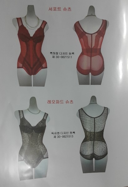 브리스건강기능성속옷 이미지