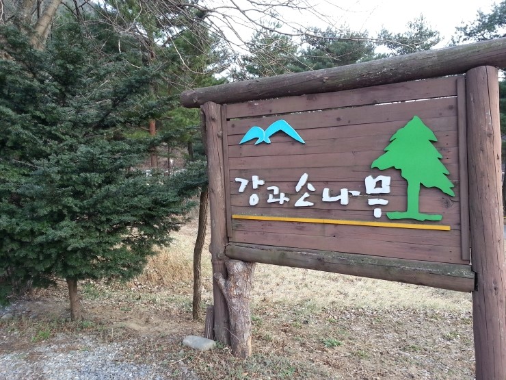 정선펜션1박2일 이미지