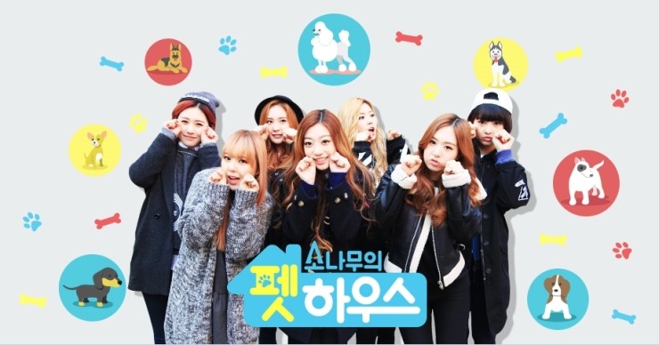 엠티비하우스 이미지