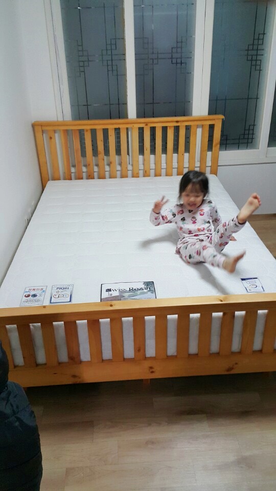 소나무기획 이미지