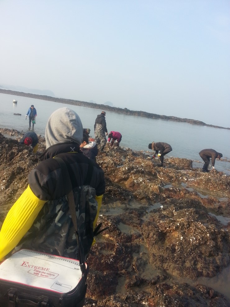 준용커먼레일 이미지