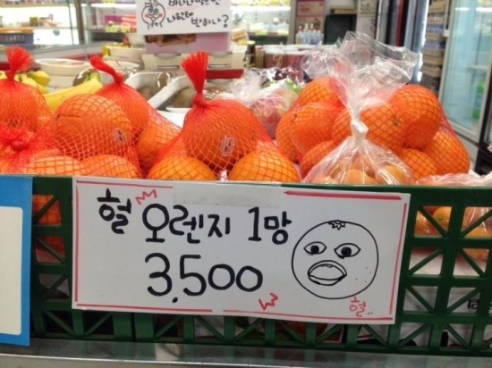 디씨마트 이미지