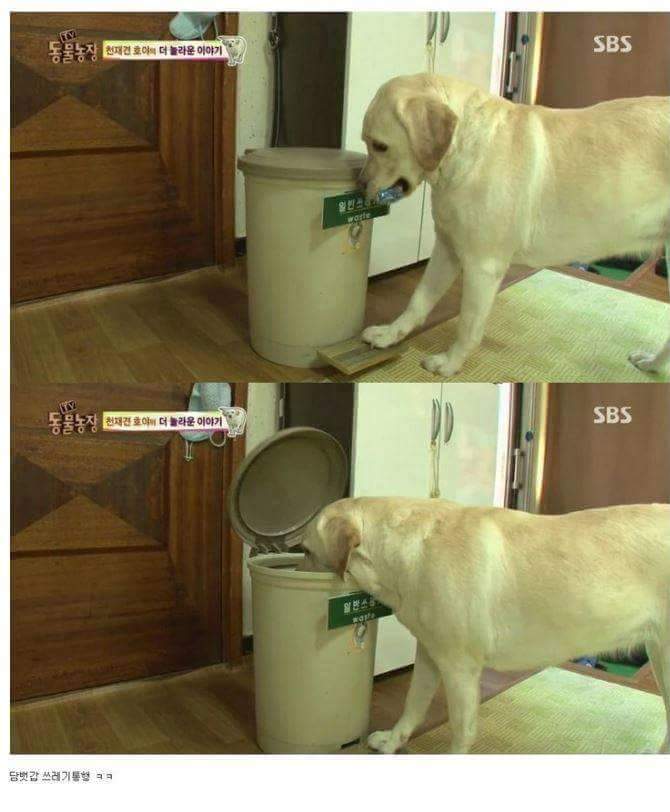 호야농장 이미지