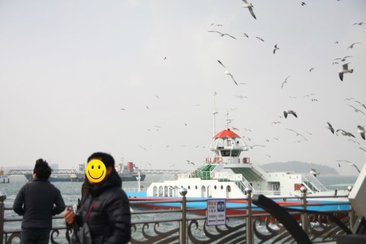갈매기놀이터 이미지