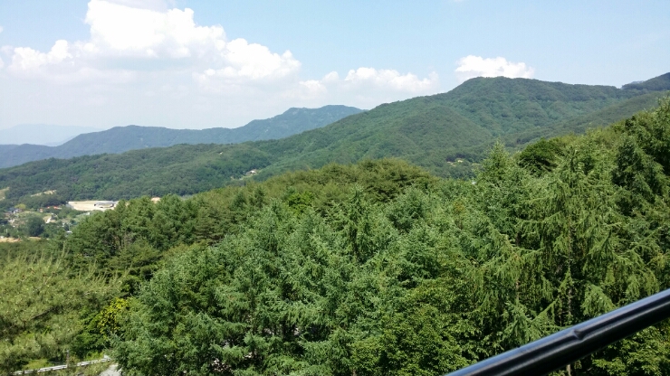 팔공산염소집 이미지