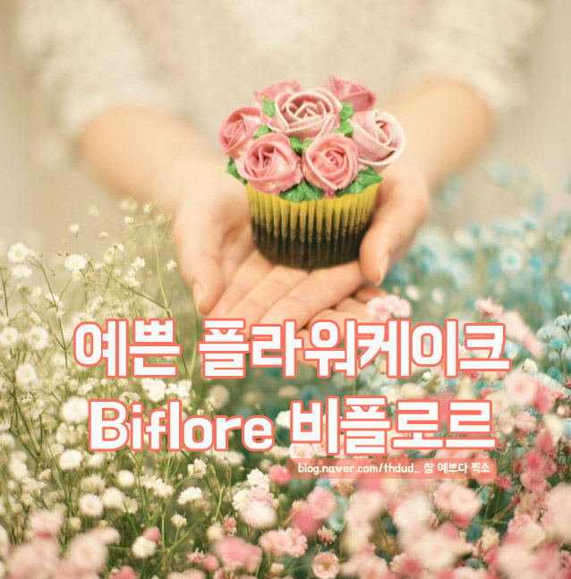 비플로르 이미지