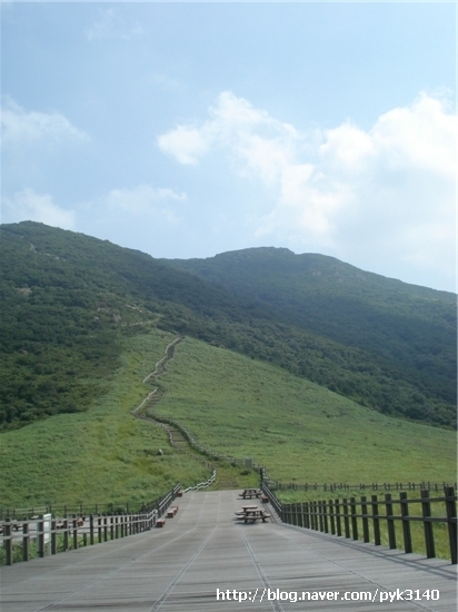 하이샵 이미지