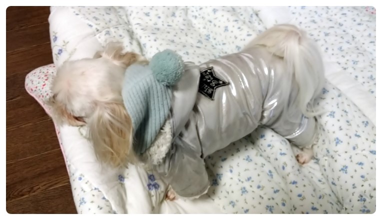 통이네집 이미지