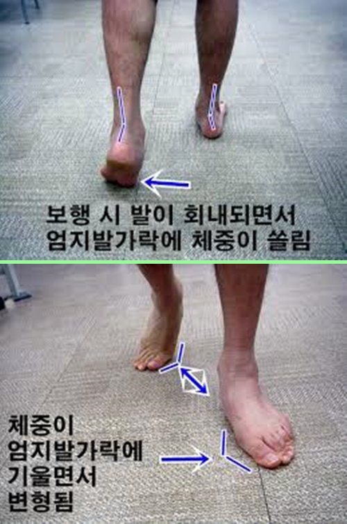 엄지에너지 이미지