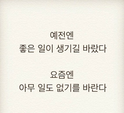 언니네네일 이미지