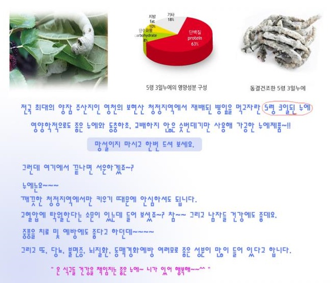 별빛가루 이미지