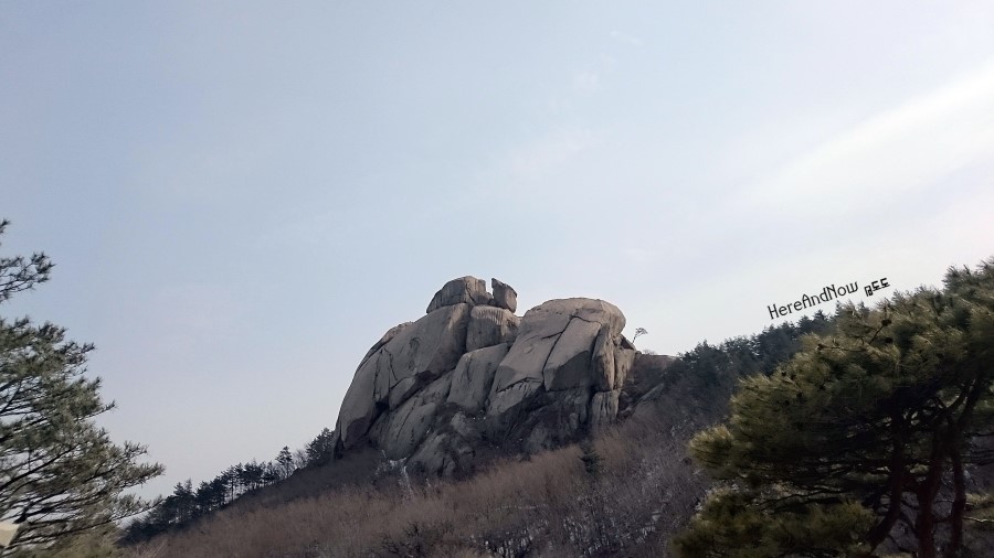 네파속초 이미지