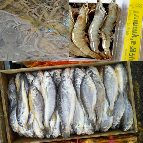 목포신안수산 이미지