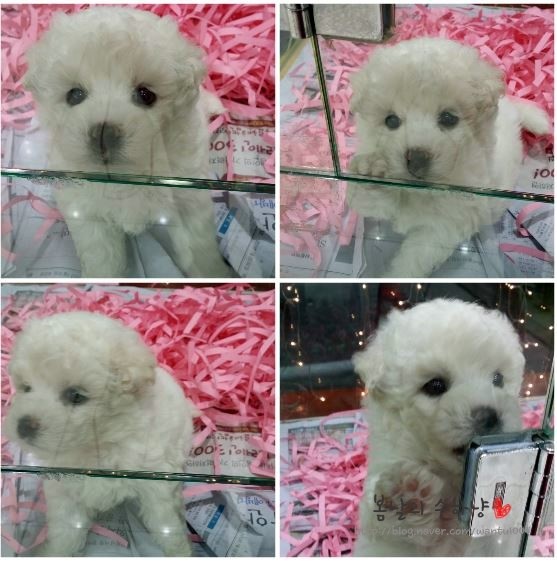 가야할인마트 이미지