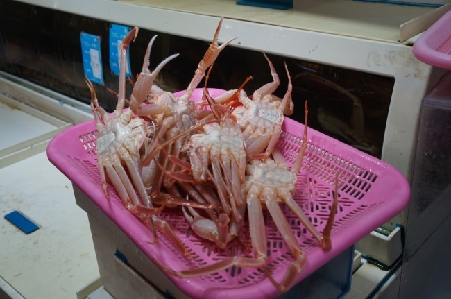 93대게 이미지