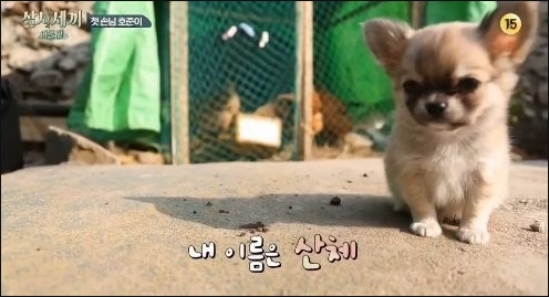 어촌댁 이미지