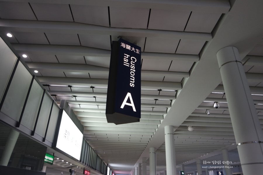 내일관광여행사 이미지