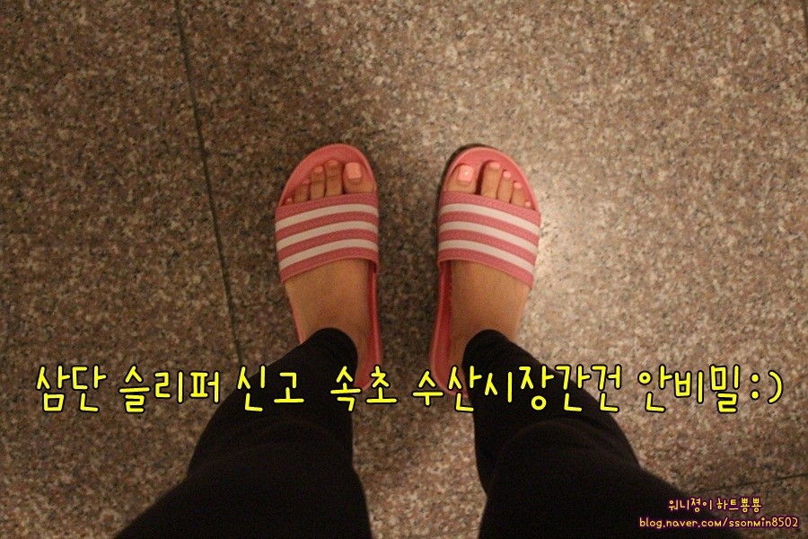 속초할머니횟집 이미지