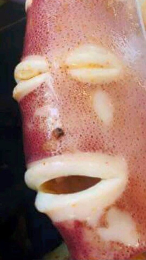 호메오 이미지