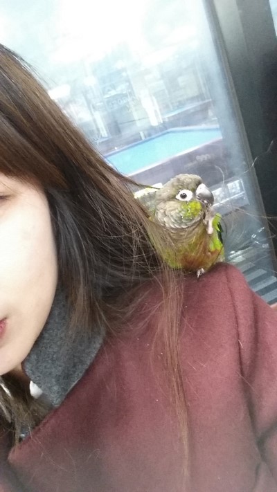 코코당구장 이미지
