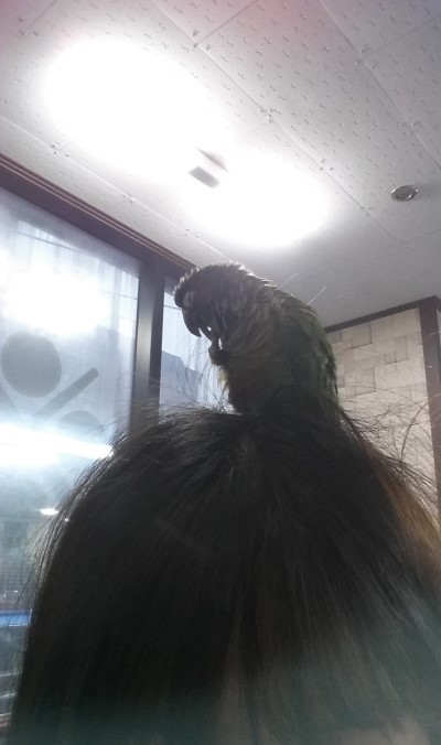 코코당구장 이미지