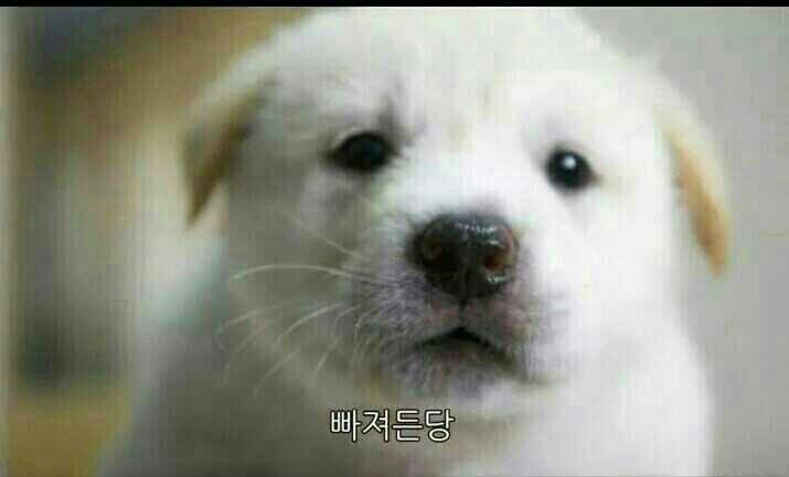 유비마켓주 이미지