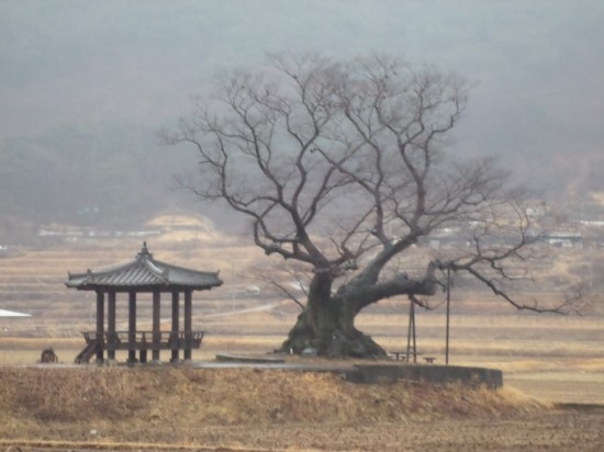 하동식품 이미지
