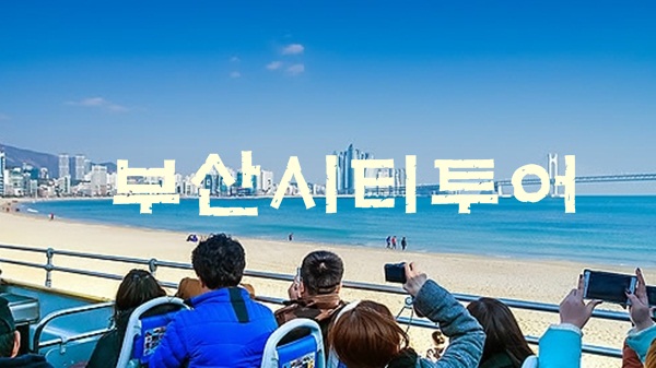 GOGO(고고)투어 이미지