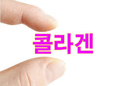 족발애 이미지
