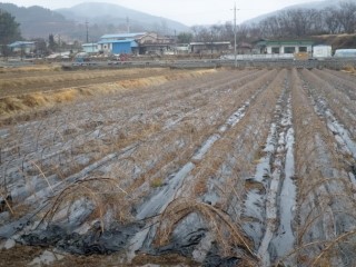 하동식품 이미지